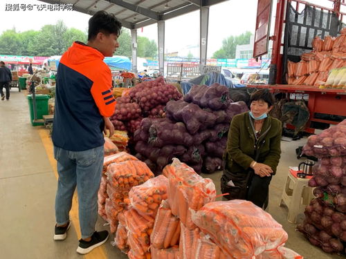 青蒜苗銷售調研與初步協(xié)議促成農副產品銷售新突破