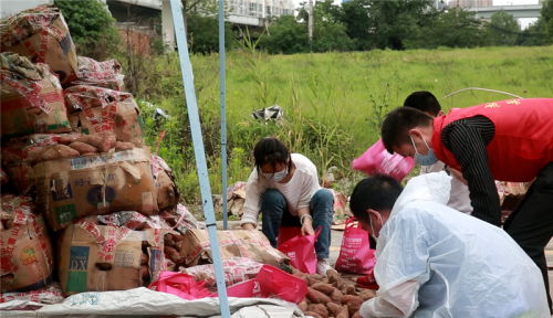 大愛(ài)接力 武漢志愿者團(tuán)助力臨沂農(nóng)副產(chǎn)品銷售，推動(dòng)機(jī)械設(shè)備研發(fā)